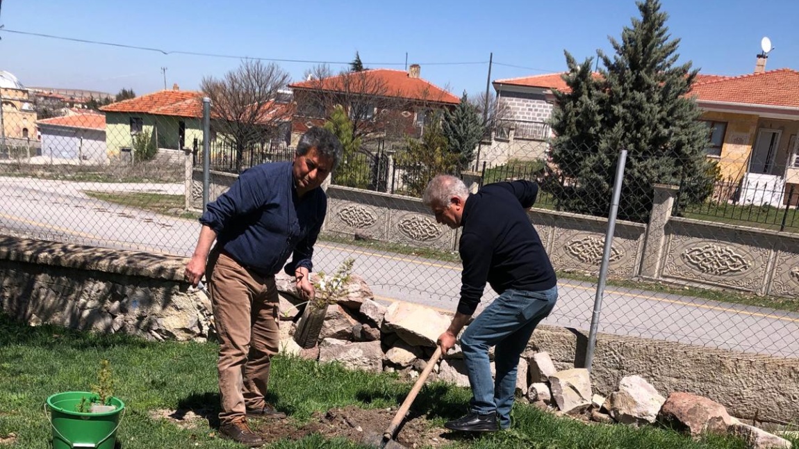 Okul Bahçemizi Ağaçlandırma Çalışmaları